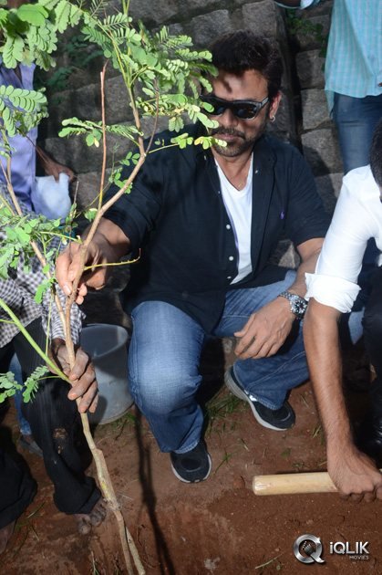 -Venkatesh-At-Haritha-Haaram-Event
